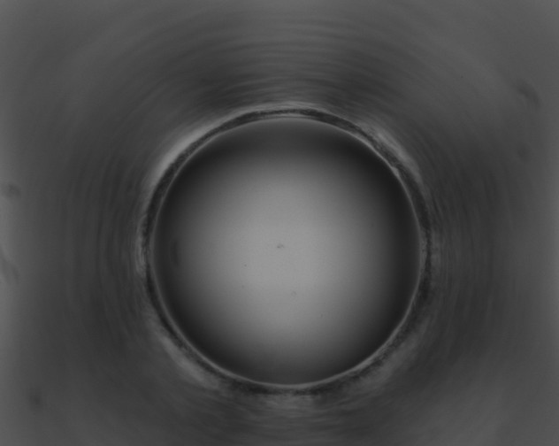 X0000090870789200708031008