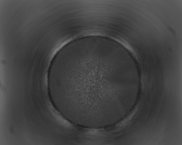 X0000090870790200708031008