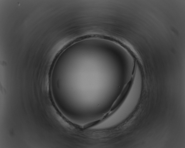 X0000090870791200708031008