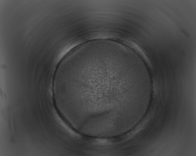 X0000090870794200708031008