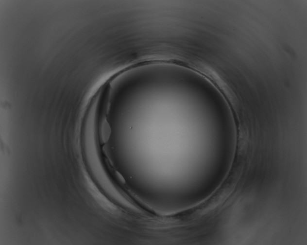 X0000090870795200708031008