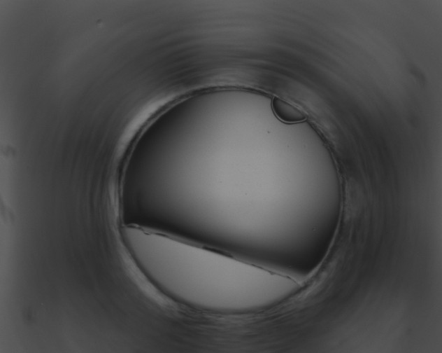 X0000090870796200708031008