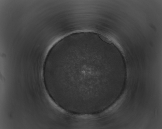 X0000090870797200708031008