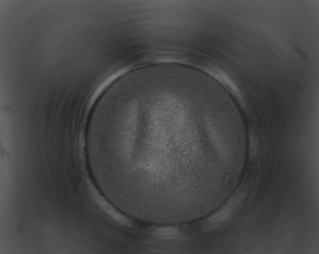 X0000090870798200708031008