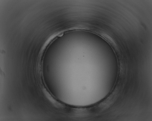 X0000090870800200708031008