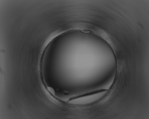 X0000090870803200708031008