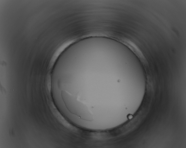 X0000090870804200708031008