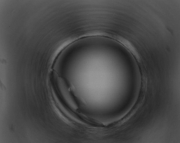 X0000090870805200708031008