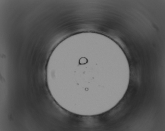 X0000090870807200708031008