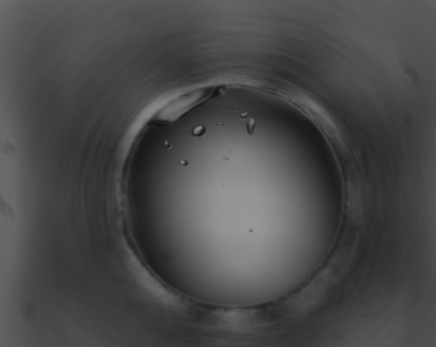 X0000090870808200708031008