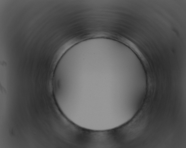 X0000090870810200708031008