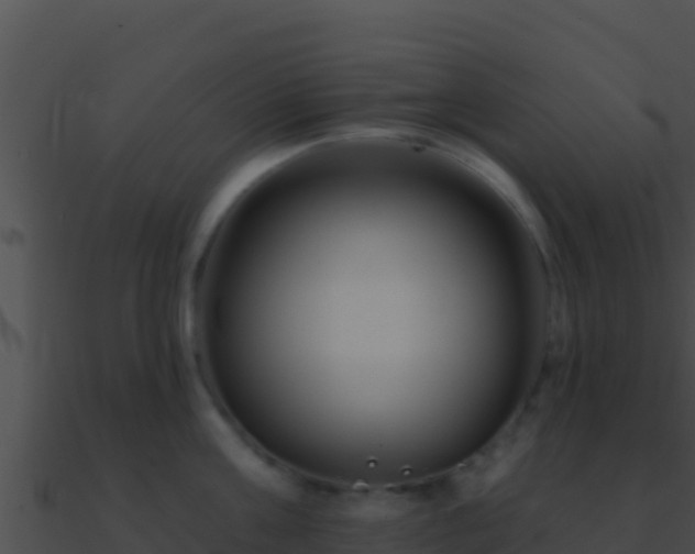 X0000090870811200708031008