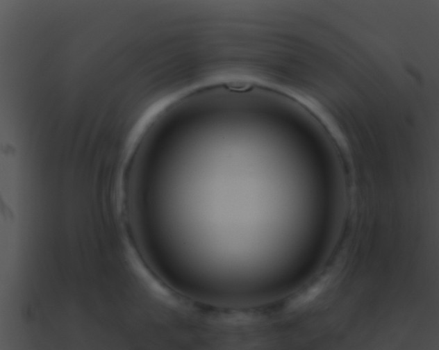 X0000090870815200708031008