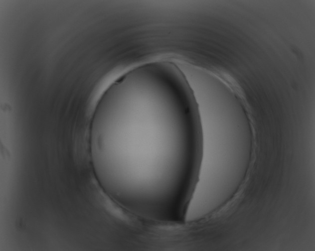 X0000090870816200708031008