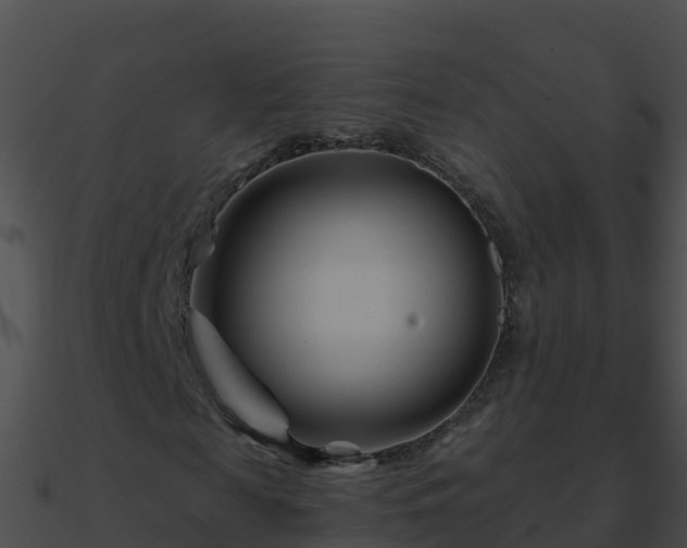 X0000090870817200708031007