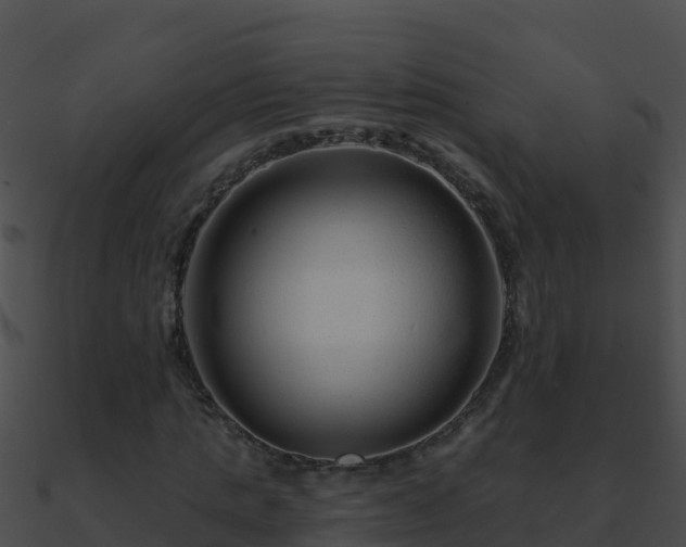 X0000090870821200708031007