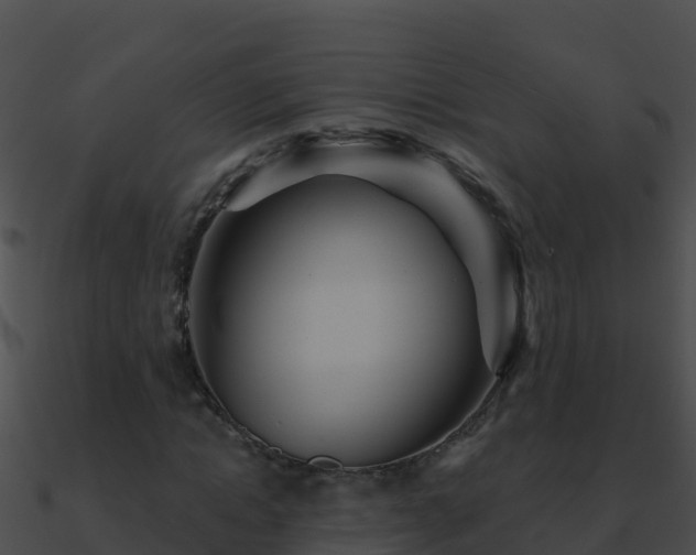 X0000090870822200708031007