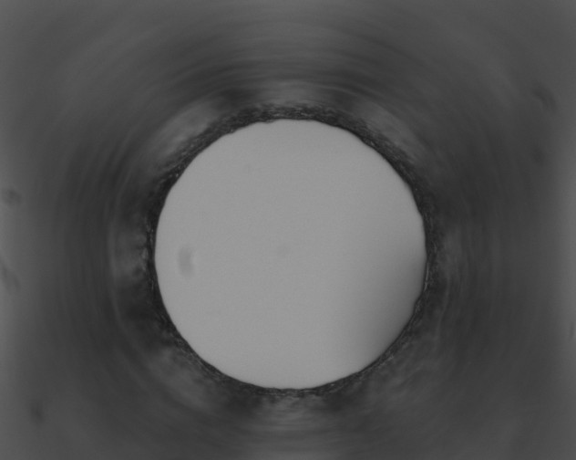 X0000090870824200708031007