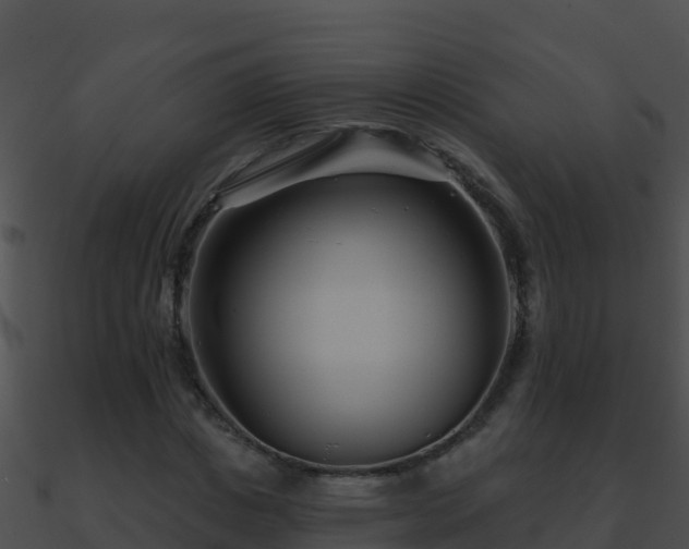 X0000090870825200708031007