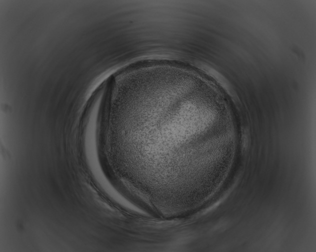 X0000090870829200708031007