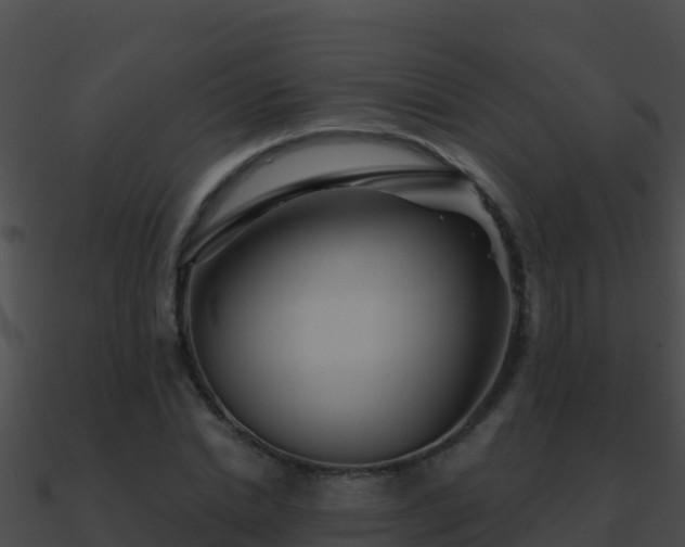 X0000090870830200708031007