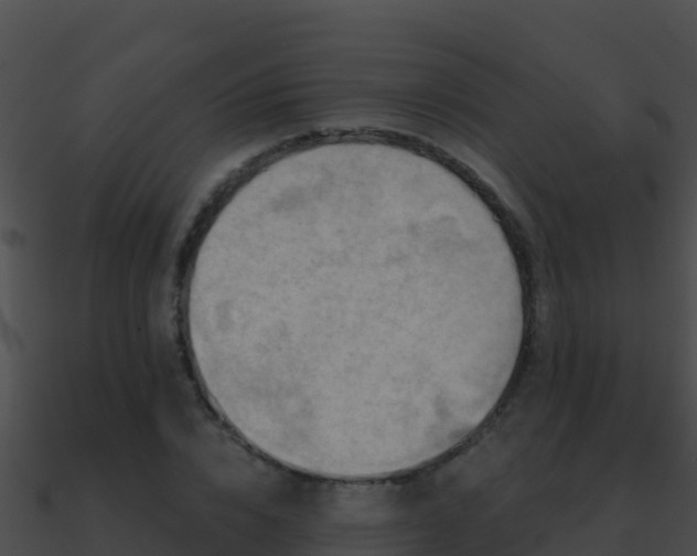 X0000090870832200708031007