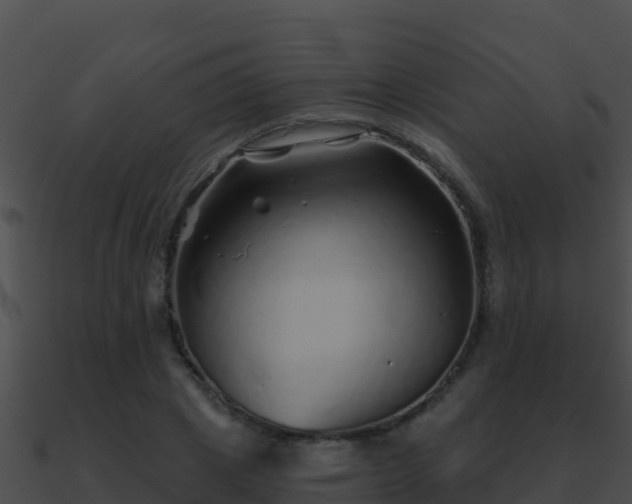 X0000090870833200708031007