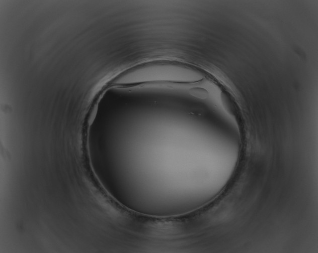 X0000090870834200708031007