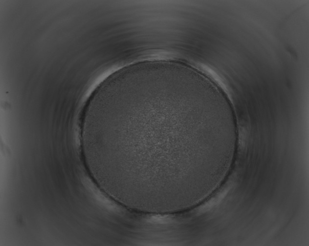 X0000090870835200708031007