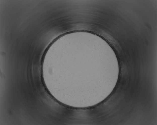 X0000090870836200708031007