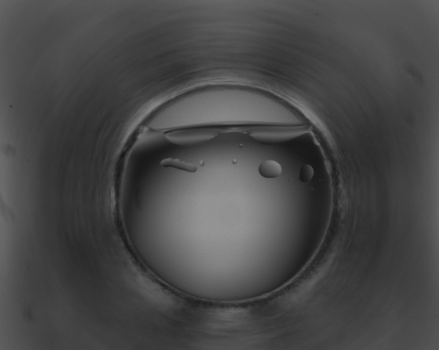 X0000090870837200708031007