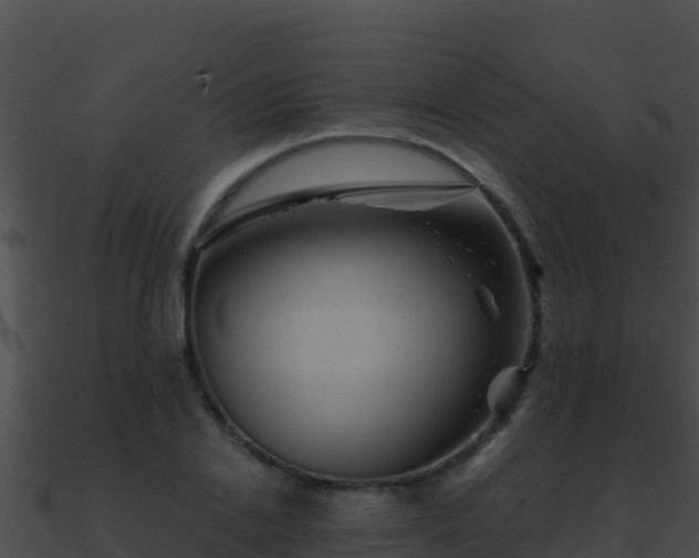 X0000090870838200708031007