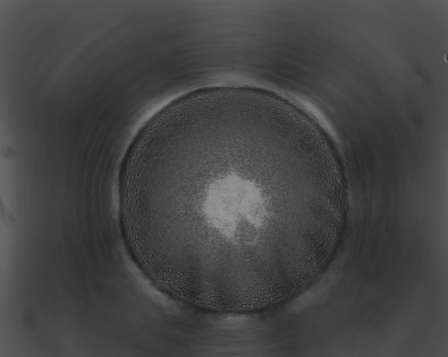 X0000090870839200708031007