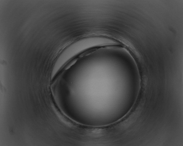 X0000090870841200708031008