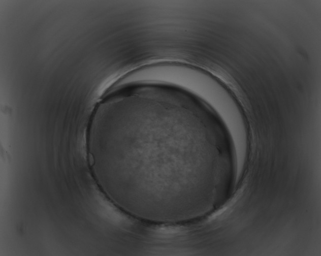 X0000090870842200708031008