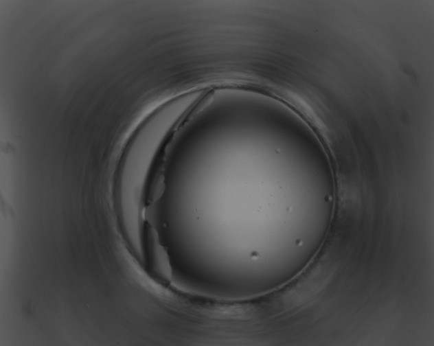 X0000090870843200708031008