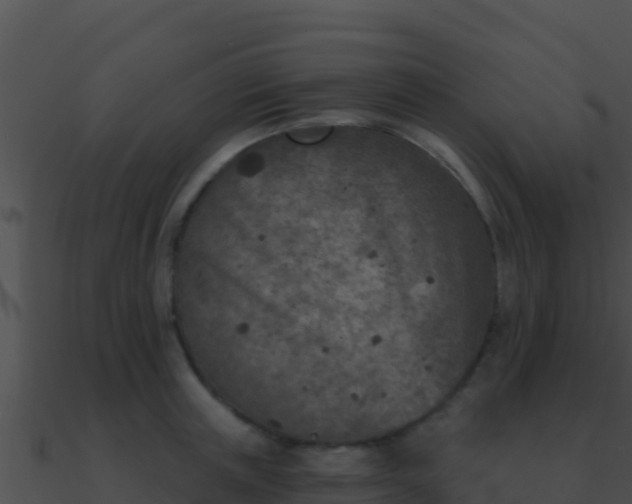 X0000090870851200708031008