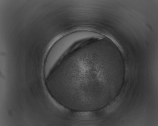 X0000090870853200708031008