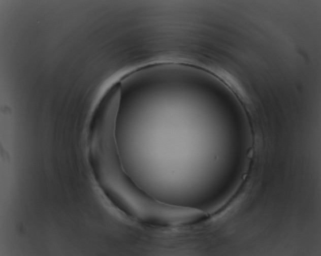 X0000090870854200708031008