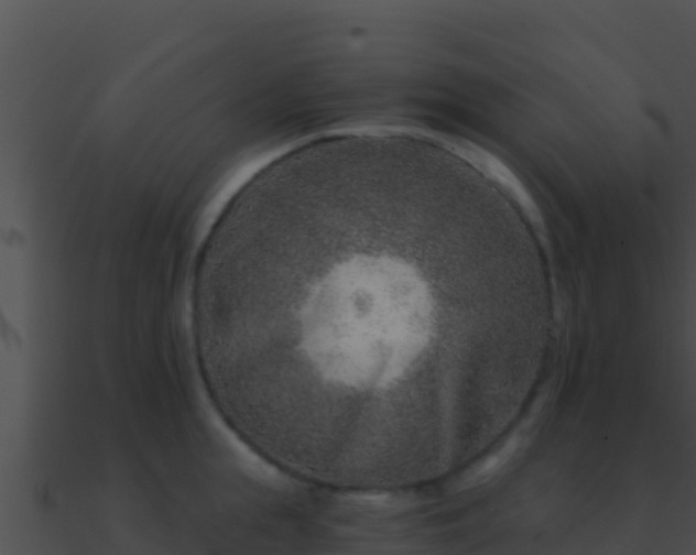 X0000090870855200708031008