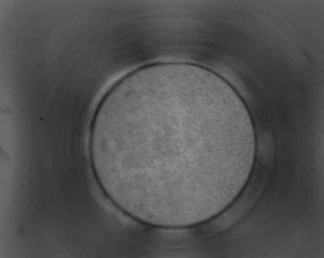 X0000090870856200708031008