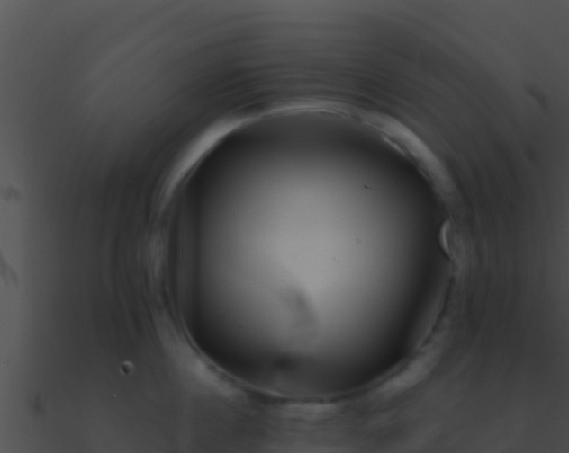 X0000090870860200708031008