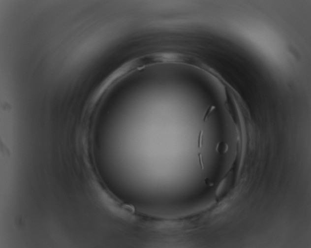 X0000090870861200708031008