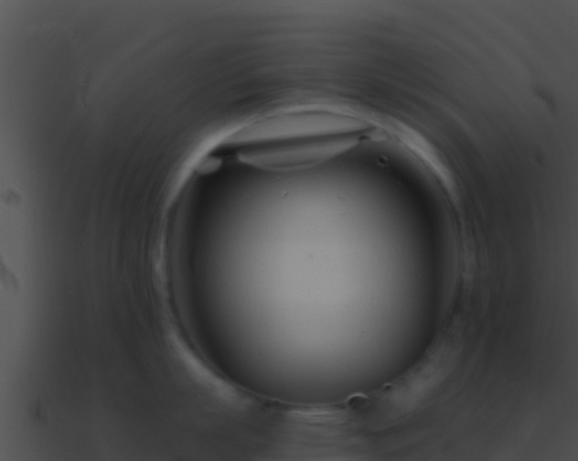 X0000090870863200708031008