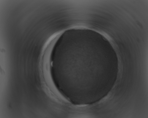 X0000090870864200708031008