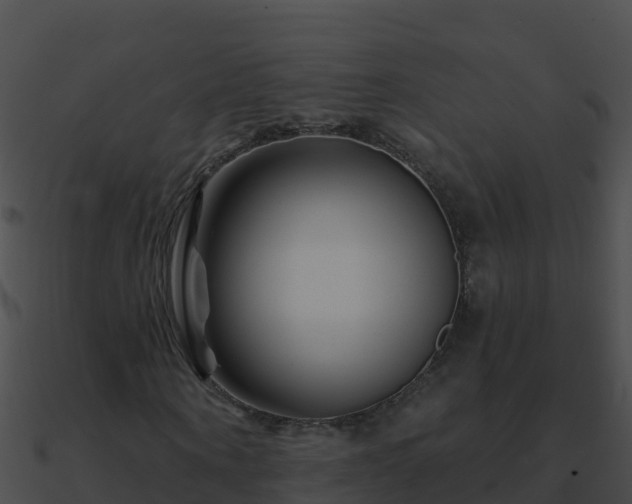 X0000090870866200708031007