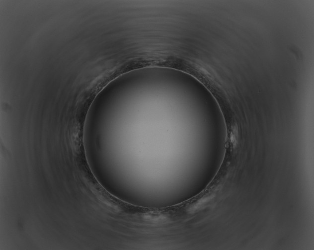 X0000090870867200708031007