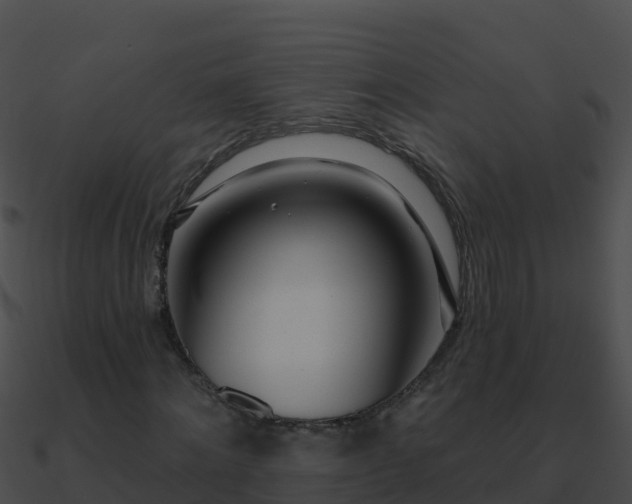 X0000090870868200708031007