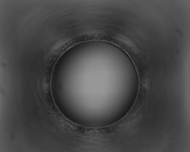 X0000090870869200708031007