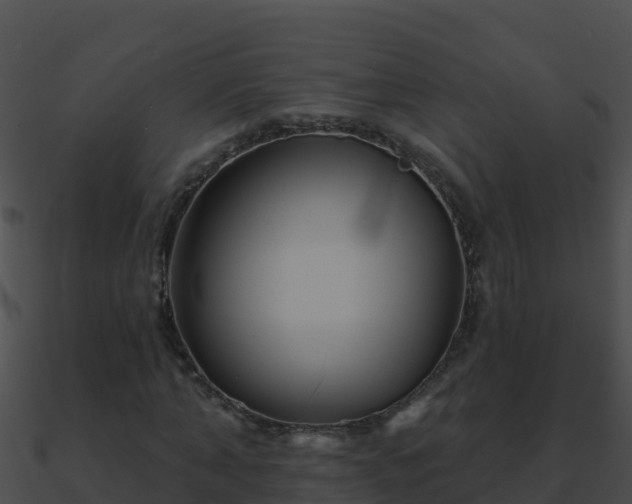 X0000090870870200708031007